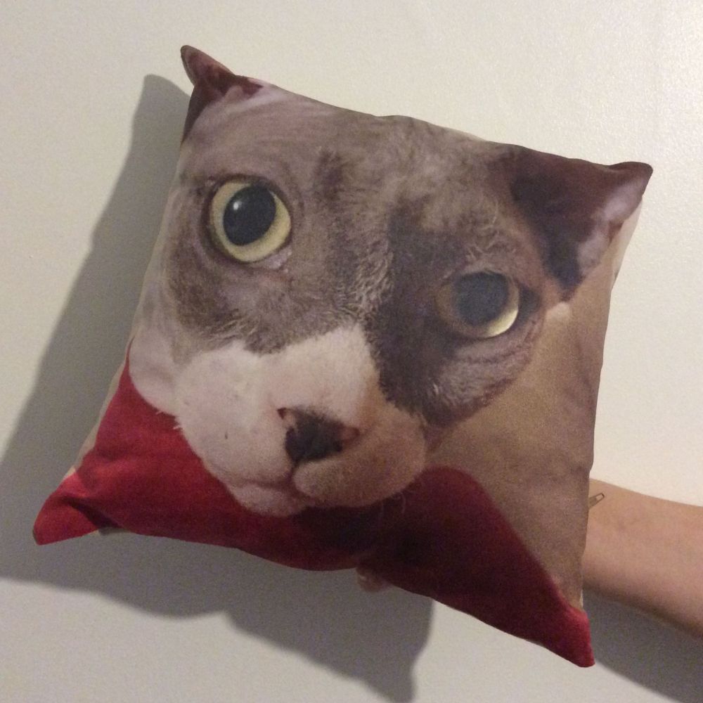 Personalised Pet Photo Cushion - Suede Square